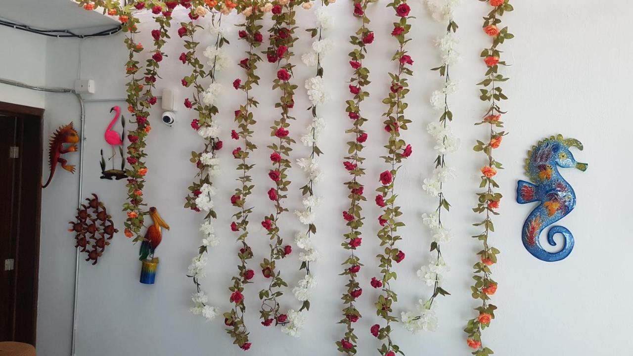 Posada Bugambilia Mazatlan Bagian luar foto